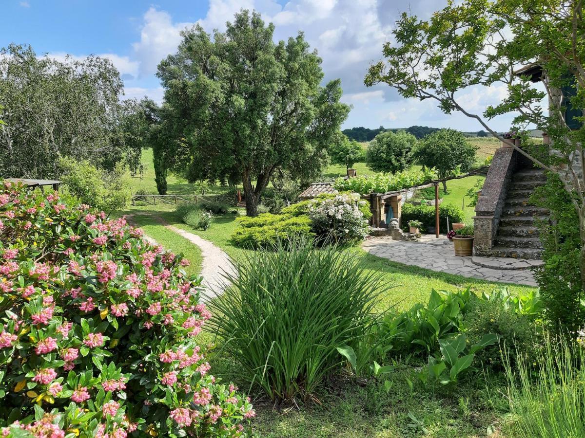 Agriturismo Cantinaccia Di Sopra Pitigliano Exteriér fotografie