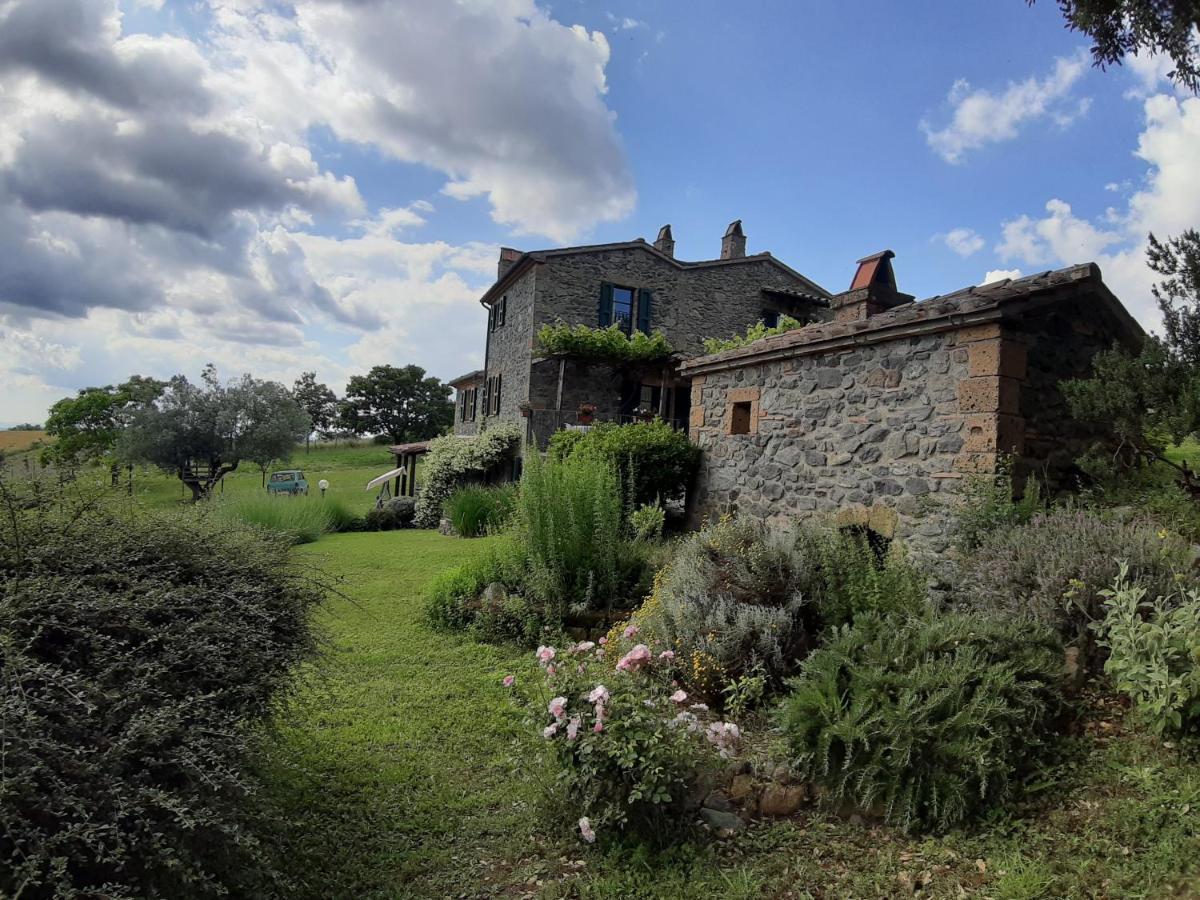 Agriturismo Cantinaccia Di Sopra Pitigliano Exteriér fotografie