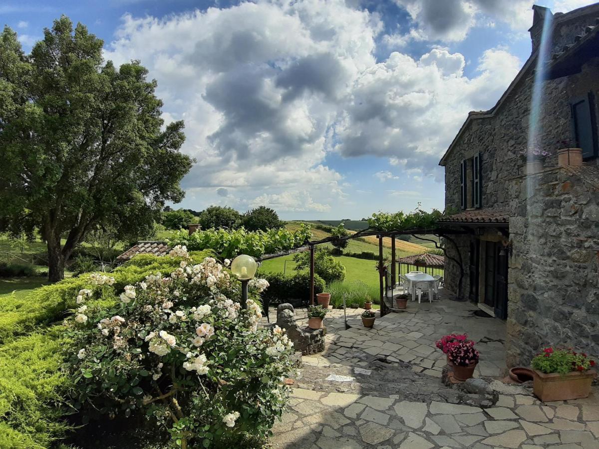 Agriturismo Cantinaccia Di Sopra Pitigliano Exteriér fotografie