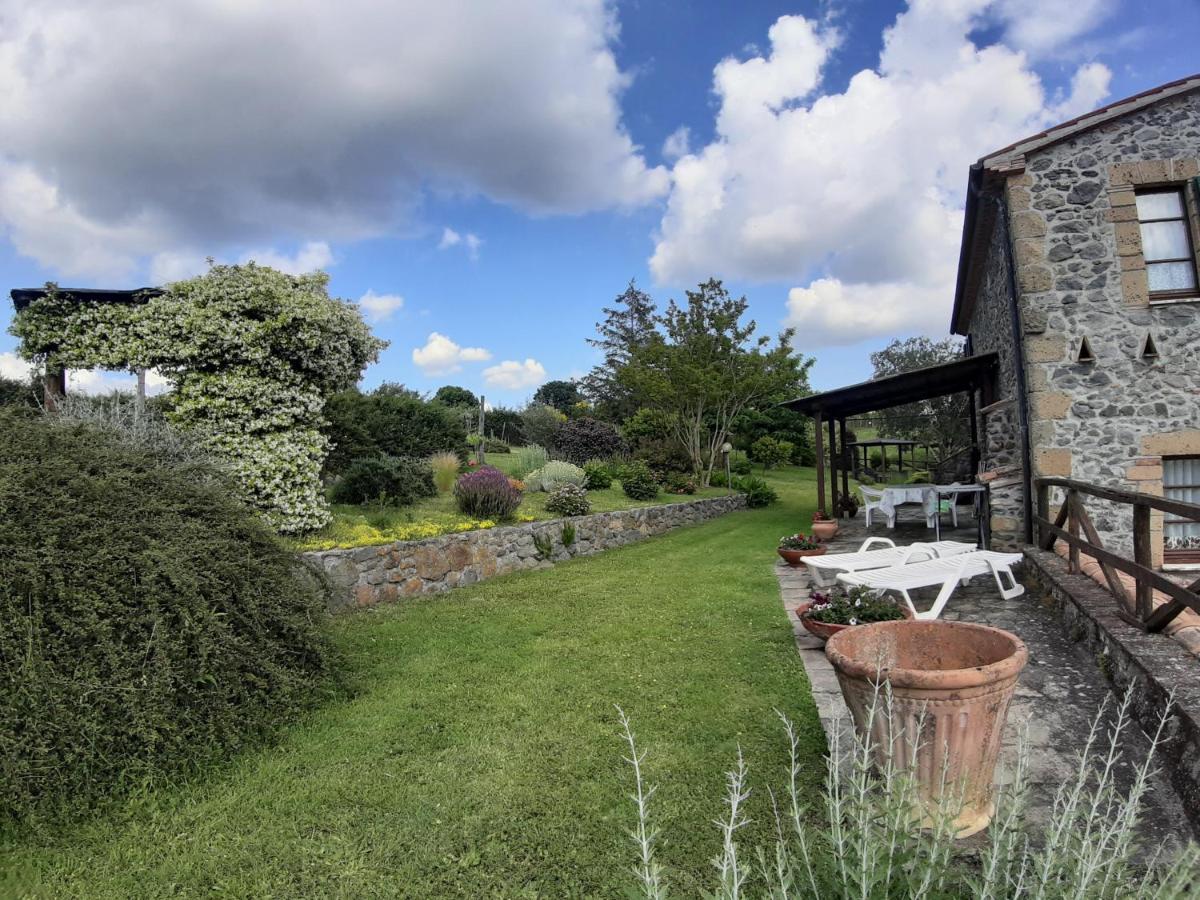 Agriturismo Cantinaccia Di Sopra Pitigliano Exteriér fotografie